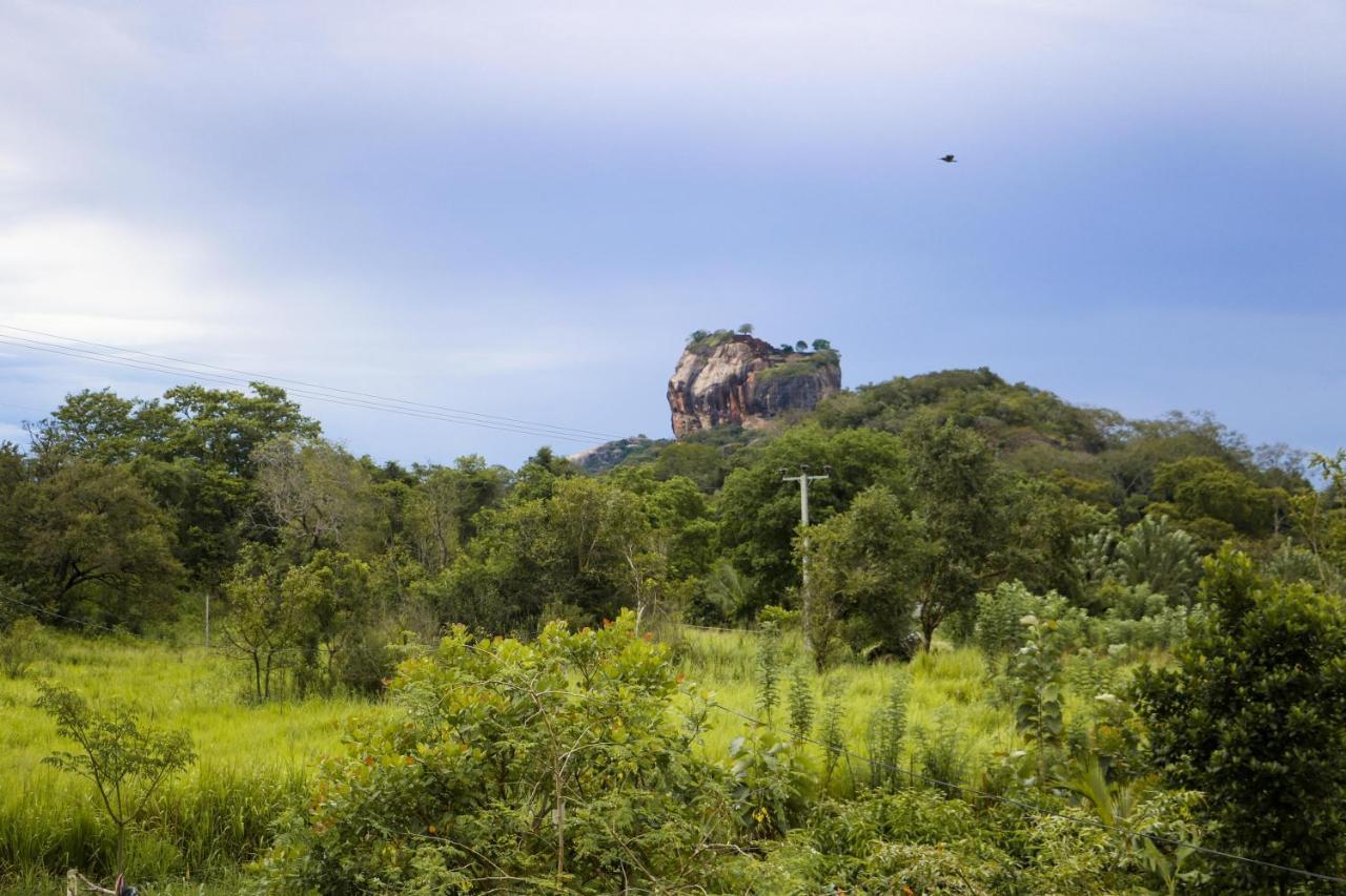 Sigiri Gayani Home Stay Sigiriya Exterior foto
