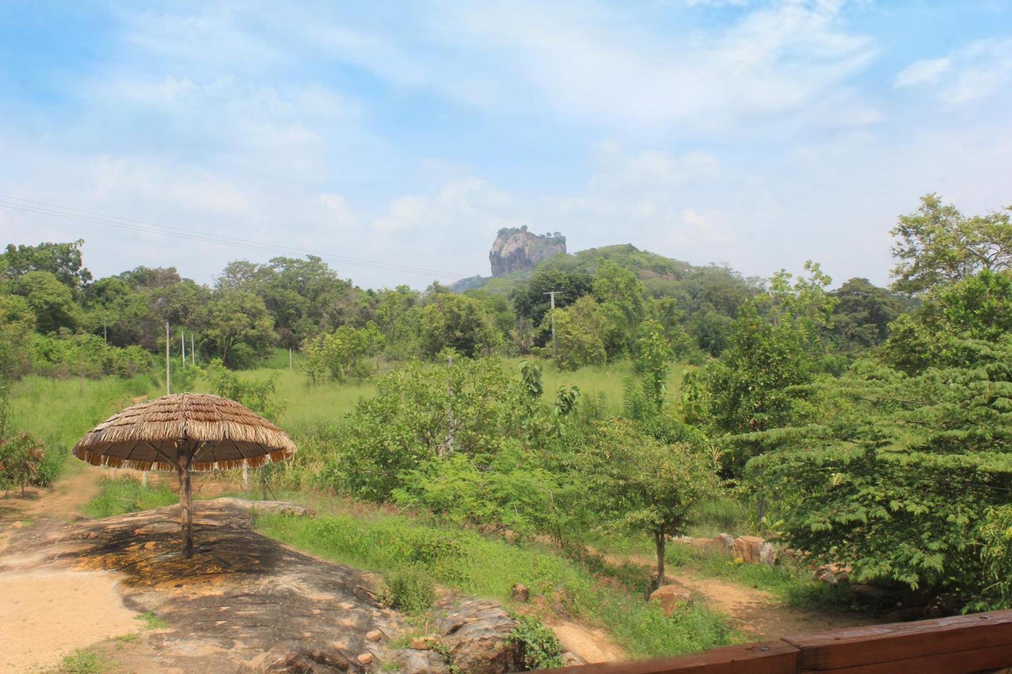 Sigiri Gayani Home Stay Sigiriya Exterior foto